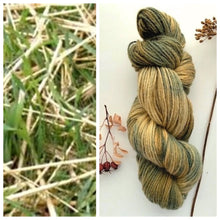 Load image into Gallery viewer, Countryside DK / Light Worsted New Growth