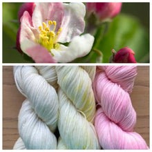 Load image into Gallery viewer, Serenity Sock 80/20  Apple Blossom Set
