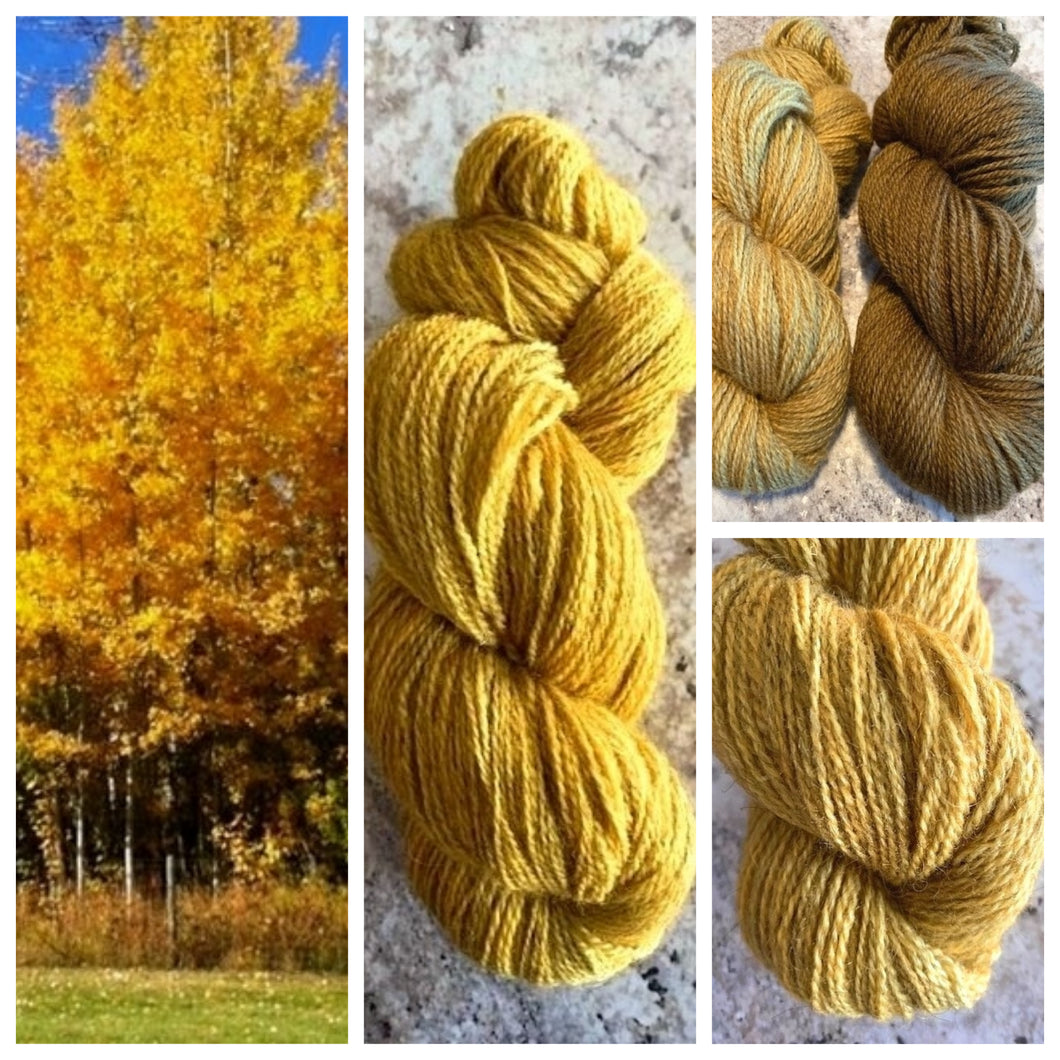 Bella BFL/Gotland Fingering Autumn Aspens
