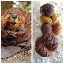 Load image into Gallery viewer, Bella BFL/Gotland Fingering The Beavers