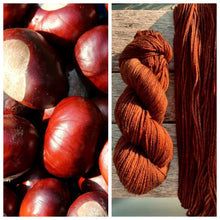 Load image into Gallery viewer, Delightful DK 75/25 Conkers