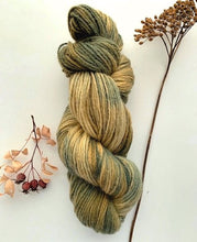 Load image into Gallery viewer, Countryside DK / Light Worsted New Growth